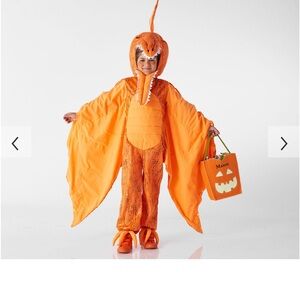 Pottery Barn Kids Pterodactyl Halloween Costume